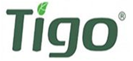 tigo